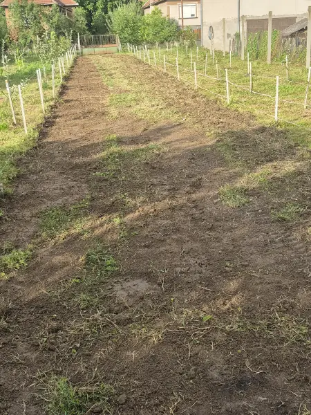 A rendezett sáv a telek teljes hosszában.